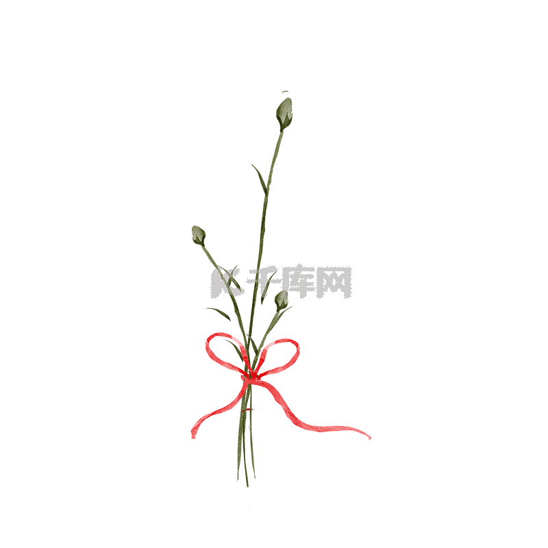 母亲节红色康乃馨花朵动图gif