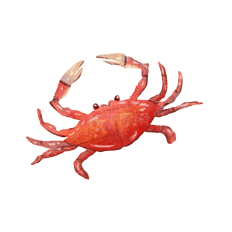 美食海鲜螃蟹