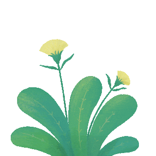 卡通绿色植物绿叶小黄花