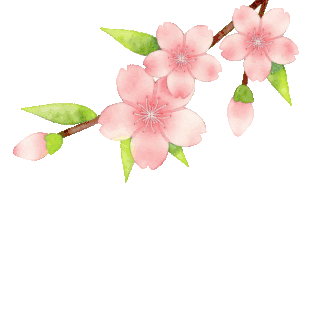 春天桃花树枝植物动图gif