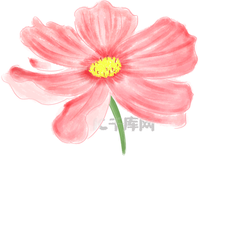 手绘卡通 小花 花朵 一朵花 小红花 小粉花 红色 粉色 小野花 可爱的
