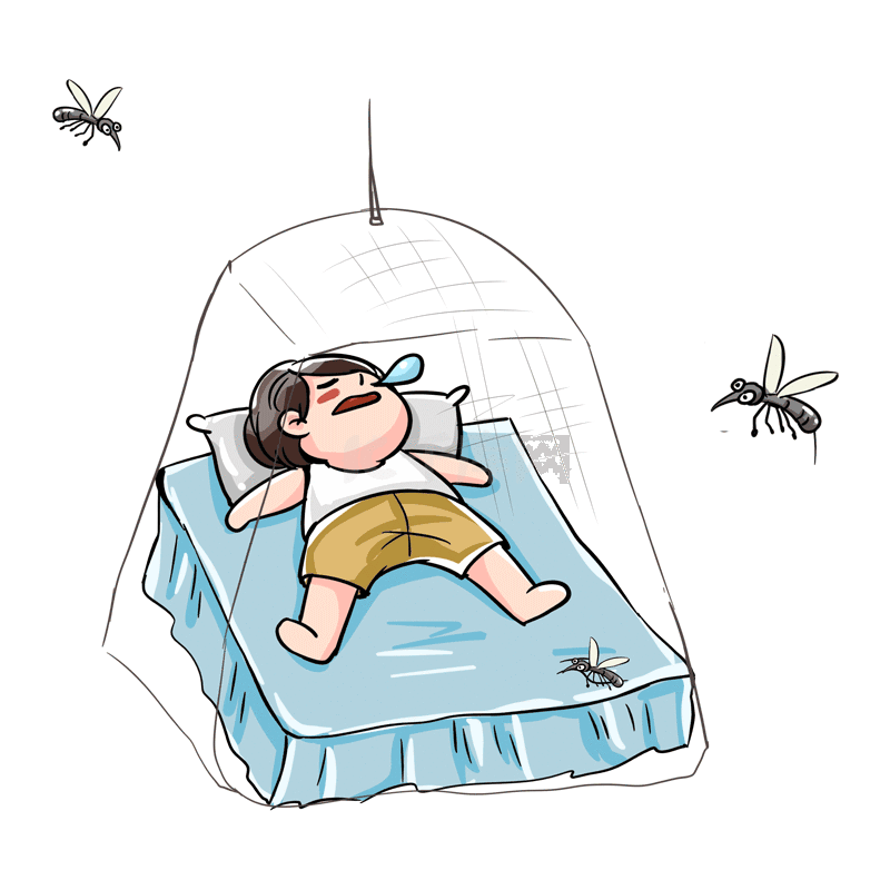 夏季夏天蚊子蚊帐内睡觉的小孩
