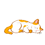 黄色卡通手绘懒惰的猫萌宠