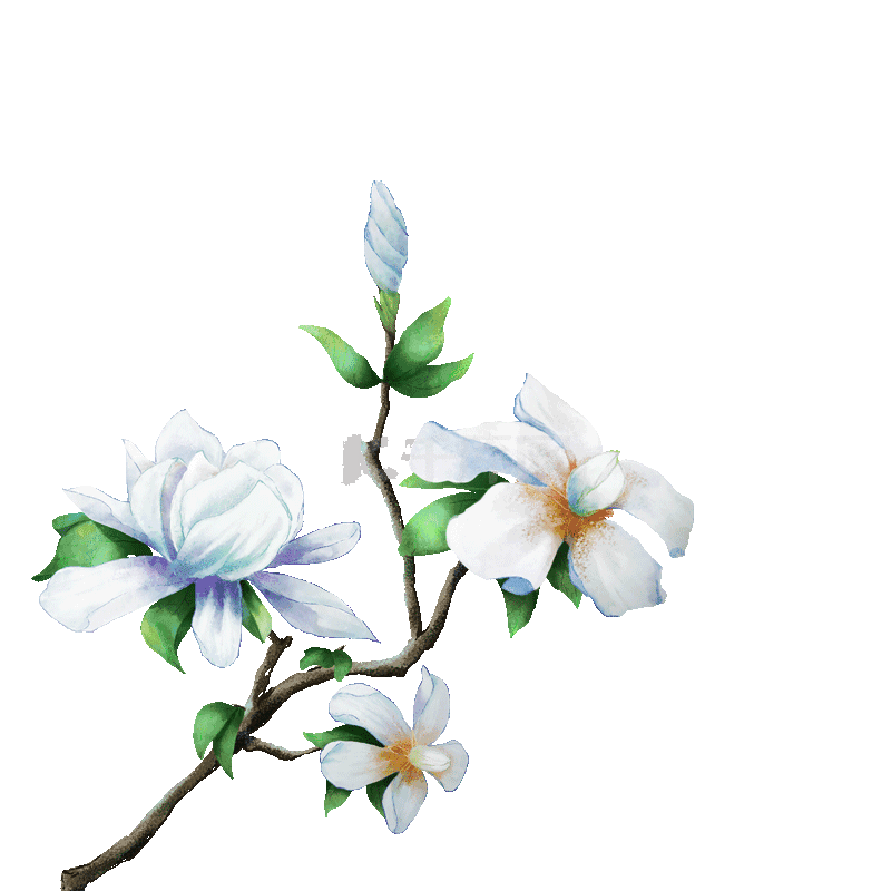 唯美栀子花国画花鸟