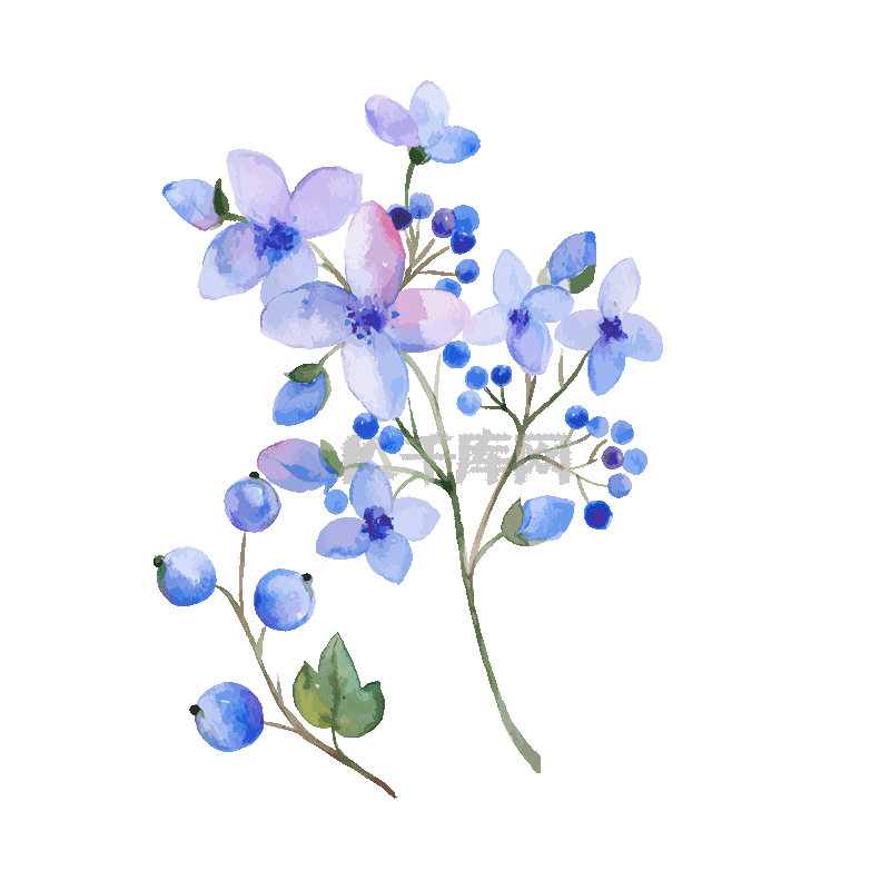水彩风淡紫色花朵果实鲜花花卉花水彩gif动态图片下载 千库网