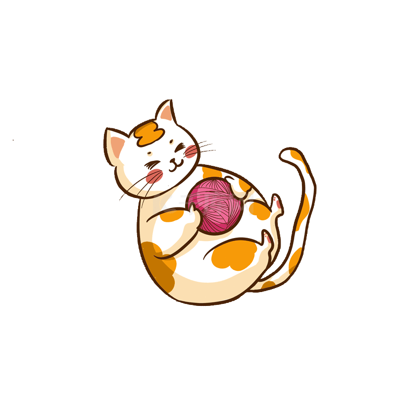 玩毛线球猫咪