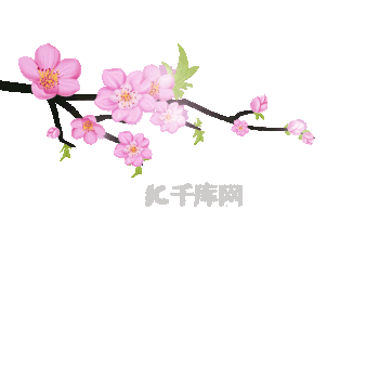 花朵鲜花GIF动画-GIF素材免费下载-花朵鲜花GIF图片制作素材库-千库网