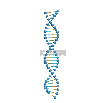 蓝色医疗立体DNA序列转动动图Gif