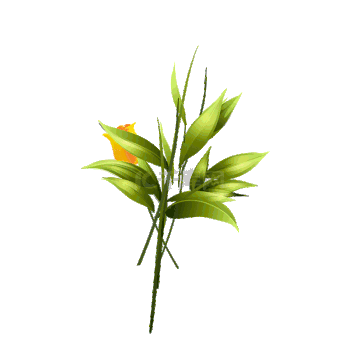花朵鲜花GIF动画-GIF素材免费下载-花朵鲜花GIF图片制作素材库-千库网