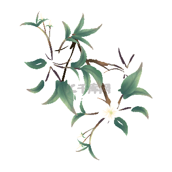 花朵鲜花GIF动画-GIF素材免费下载-花朵鲜花GIF图片制作素材库-千库网