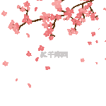 梅花粉色桃花樱花植物树枝开花花瓣漂浮素材动图GIF