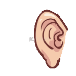 人体器官五官耳朵结构听力测试动图gif