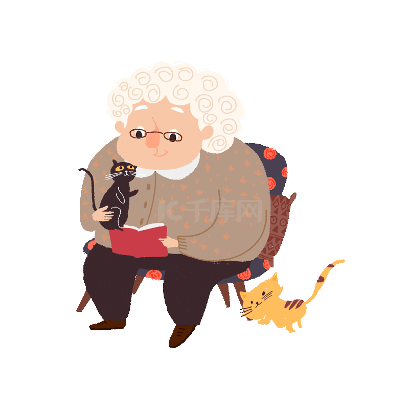 白发老奶奶撸猫看书老年人老人退休生活动图gif