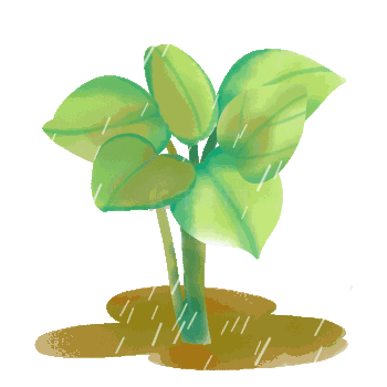 春天谷雨植物下雨水滴落下绿色动图gif