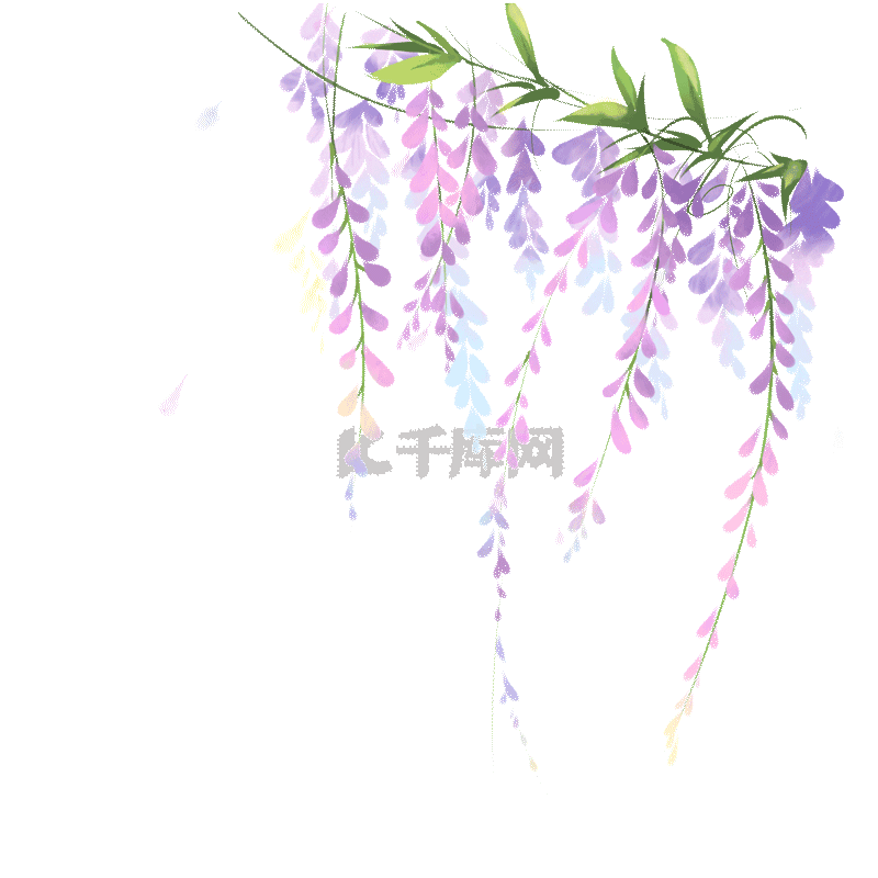 春天花朵花瓣紫藤花花藤唯美紫色漂浮动图gif