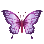 春天漂亮蝴蝶挥动翅膀卡通昆虫紫色动图gif