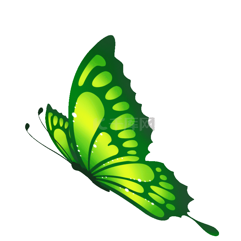 春天春季昆虫蝴蝶拍翅膀卡通绿色动图gif