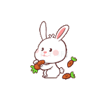 动物可爱小兔子吃萝卜贴纸白色动图gif