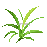 植物小草叶子绿叶水珠露珠绿色动图gif