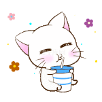 抱着奶茶喝享受的小猫咪表情包动图gif