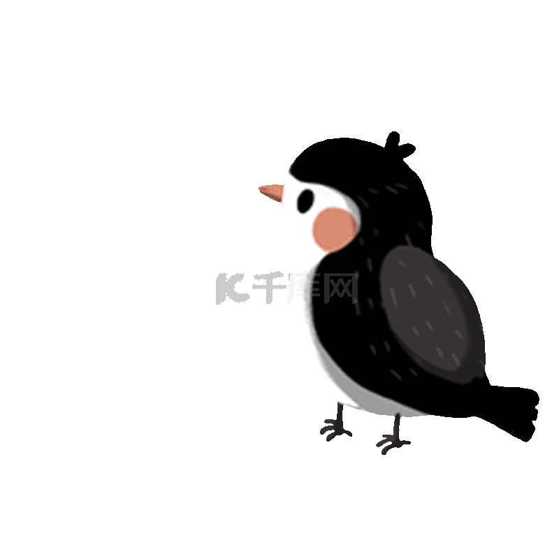 我很漂亮 Gif 鸟