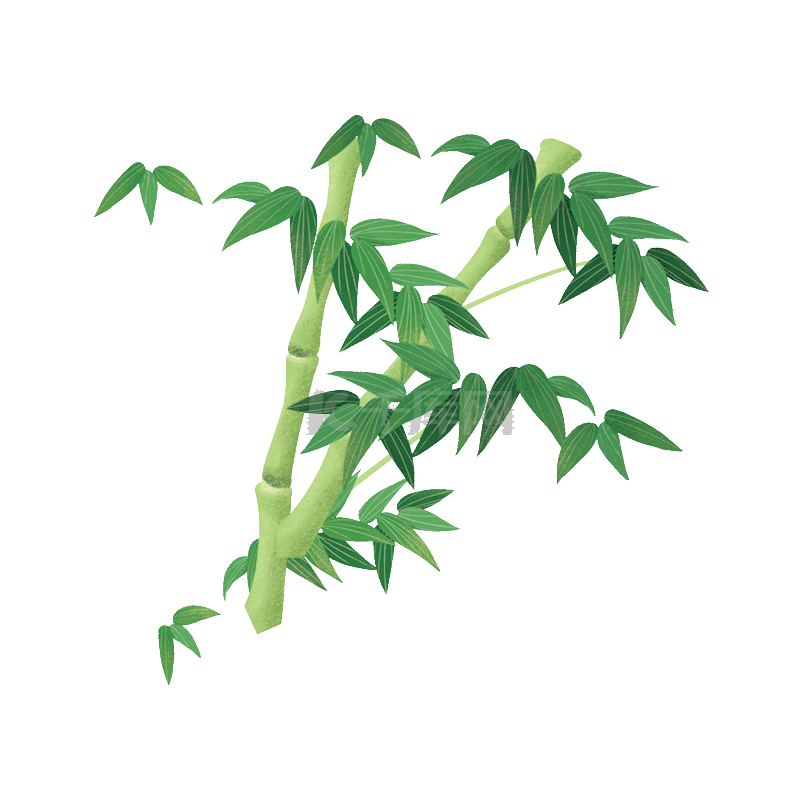 竹叶贴图图片