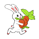 动物兔子跑步跑卡通白色动图gif