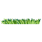 草丛小草草地草坪植物绿化绿色底边分割线
