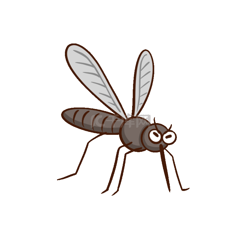 蚊子吸血动画图片