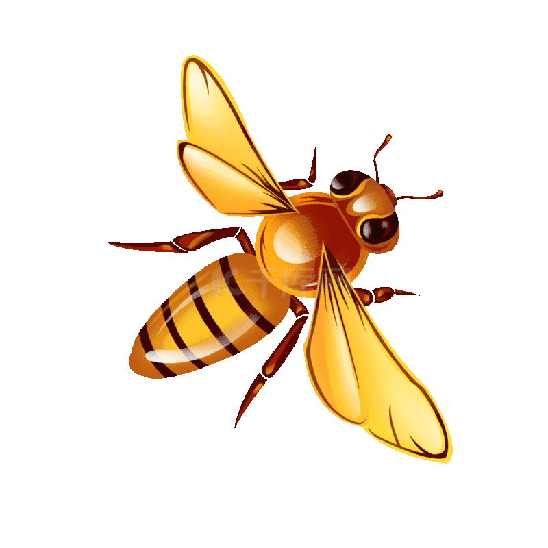 卡通手绘一只蜜蜂免抠图