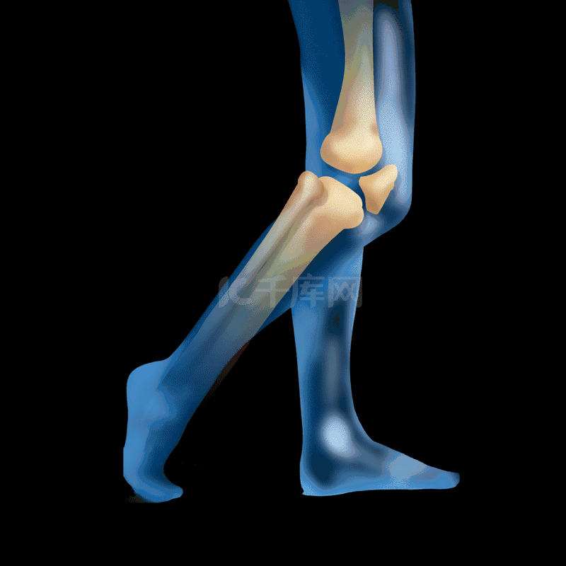 医疗关节炎膝盖疼痛骨骼人体腿蓝色动图gifgif动态图片下载 千库网
