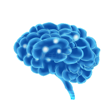 医疗扫描网格大脑人体器官智慧动图gif