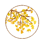 秋天立秋风吹银杏树小清新黄色动图gif