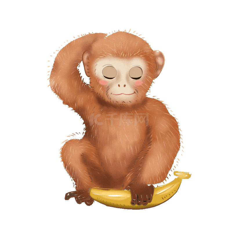 金丝猴吃香蕉动物猴子动图gif