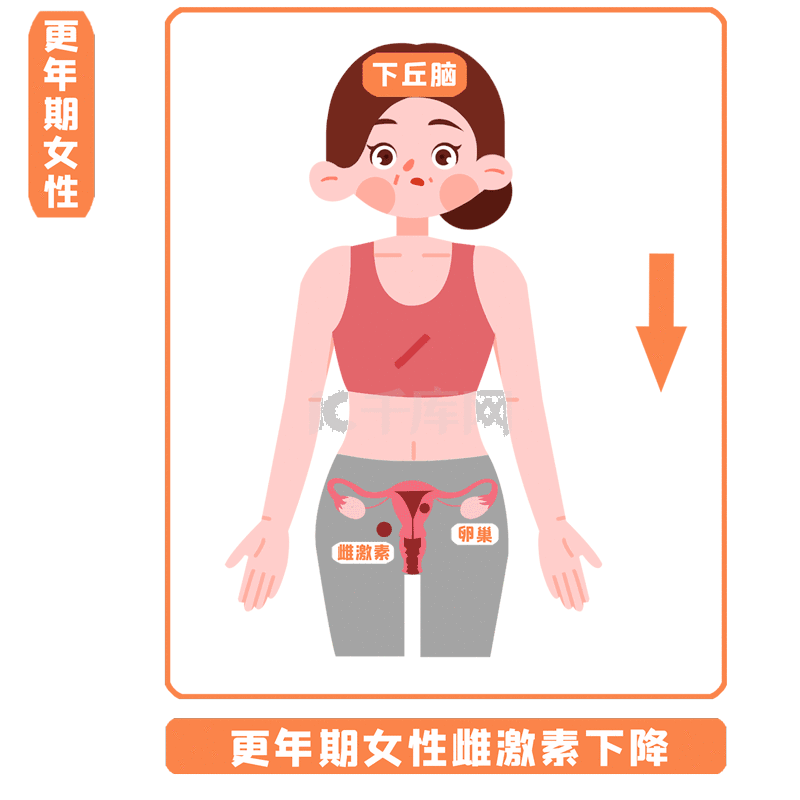 国际更年期关爱日呼吁共同关注女性健康问题插画图片-千库网