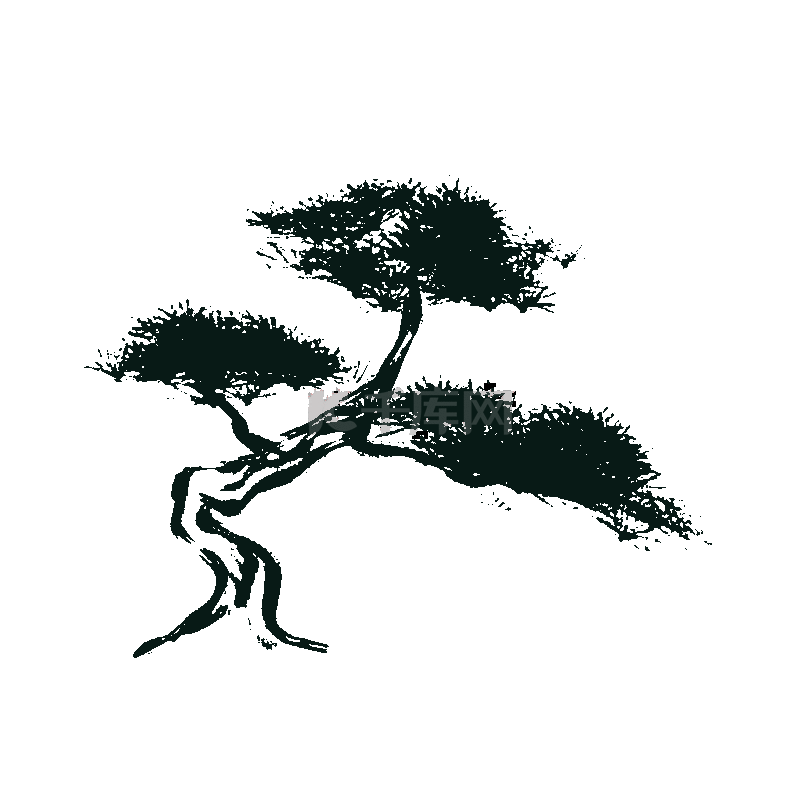 绿色松树树木素材图片免费下载-千库网