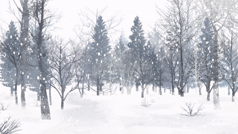 冬天冬季树林大雪雪景视频背景动图gif小寒 大寒