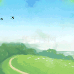 草坪公园草地叶子燕子柳叶森林大自然绿色视频背景动图gif