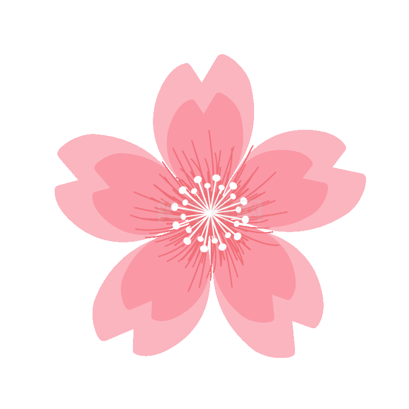 春天春季樱花花瓣粉色花朵花动图gif