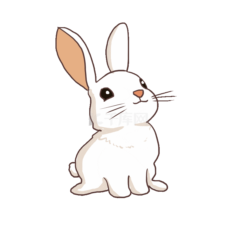 兔子 Tumblr Gif