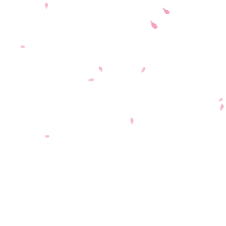 粉色花瓣樱花桃花飘落漂浮动图gif