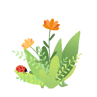 花朵gif图片_花朵gif素材_千库网