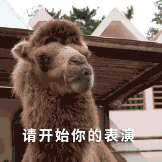 表情包请看vcr图片素材-表情包请看vcr模板图片下载-千库网
