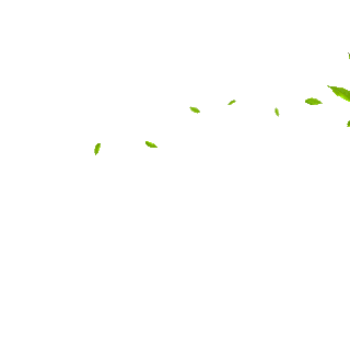 春天绿色树叶绿叶飘落漂浮植物动图GIF春分
