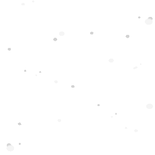 白柳图片-白柳GIF素材-白柳模板图片下载-千库网