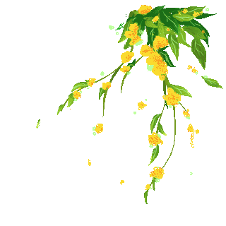 花藤gif设计素材-花藤gif模板设计-海报PSD图片下载-千库网
