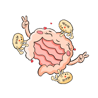 肠道健康按摩益生菌爱心动图gif
