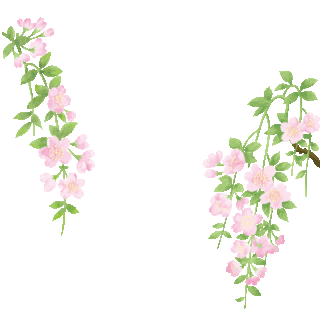 花朵gif图片_花朵gif素材_千库网