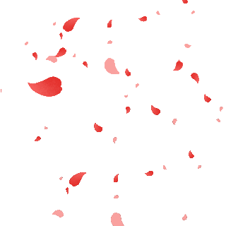 红色玫瑰花瓣从天而降gif图片