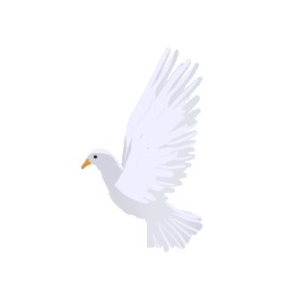 鸽子小鸟飞翔可爱白色动物动图gif